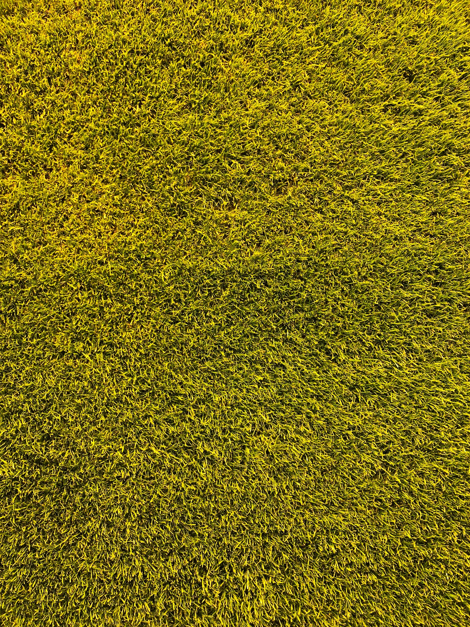 RajabSno's profile banner image