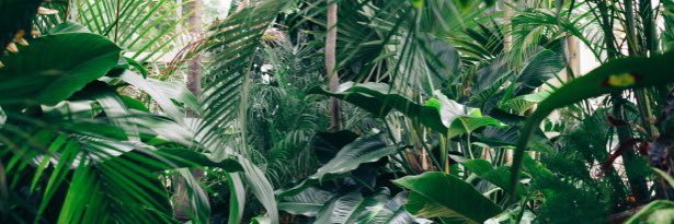 Gvalll_'s profile banner image