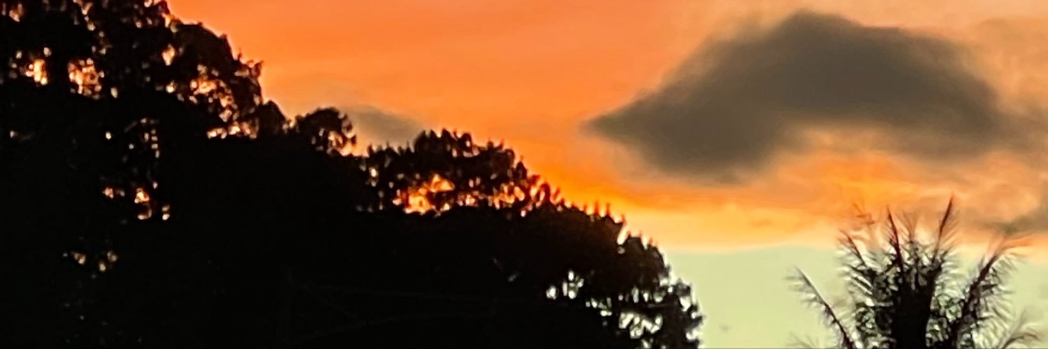 AleSernaR0109's profile banner image