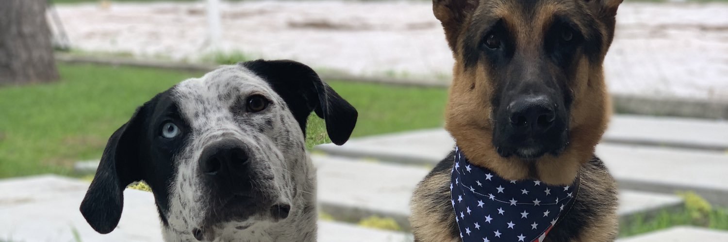Stephanieminn7's profile banner image