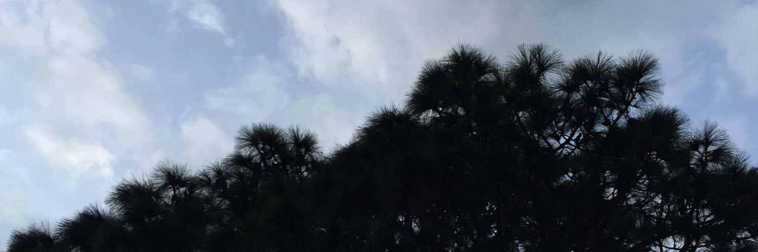 JakePedrero's profile banner image