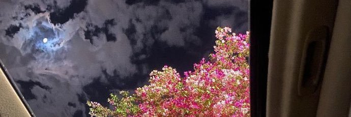 ebruomerr's profile banner image