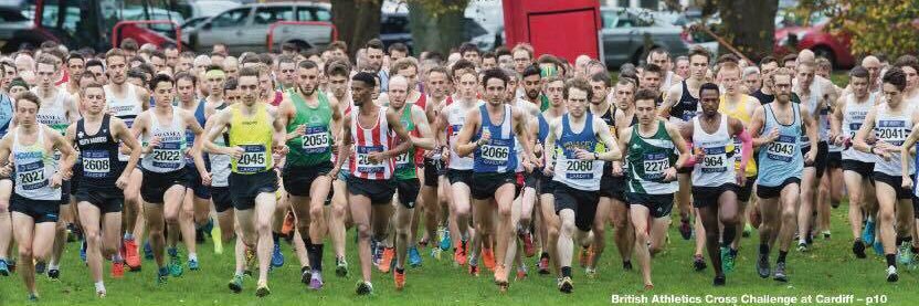 Rob Warner-Judd banner