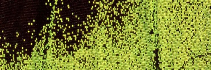 dlfin's profile banner image