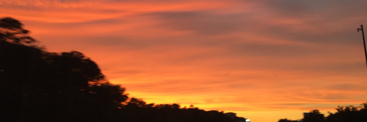Fatima_leon29's profile banner image