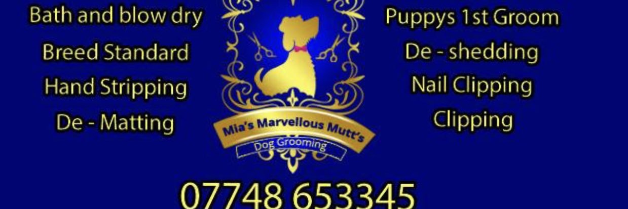 MiaFinney's profile banner image