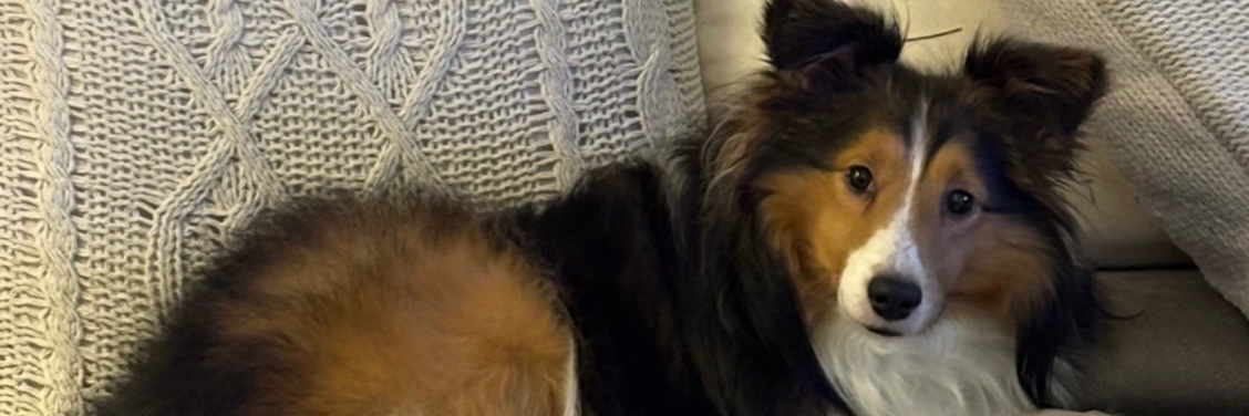 Jessica Morris banner