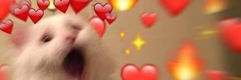 sarahmberi's profile banner image