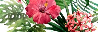 Danielle_Bahr's profile banner image