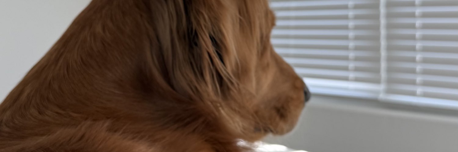 FelixLizveth's profile banner image