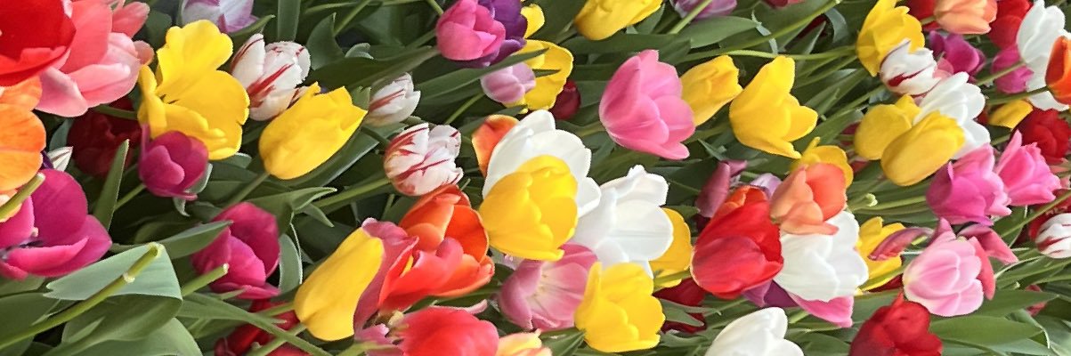 itstoridav's profile banner image