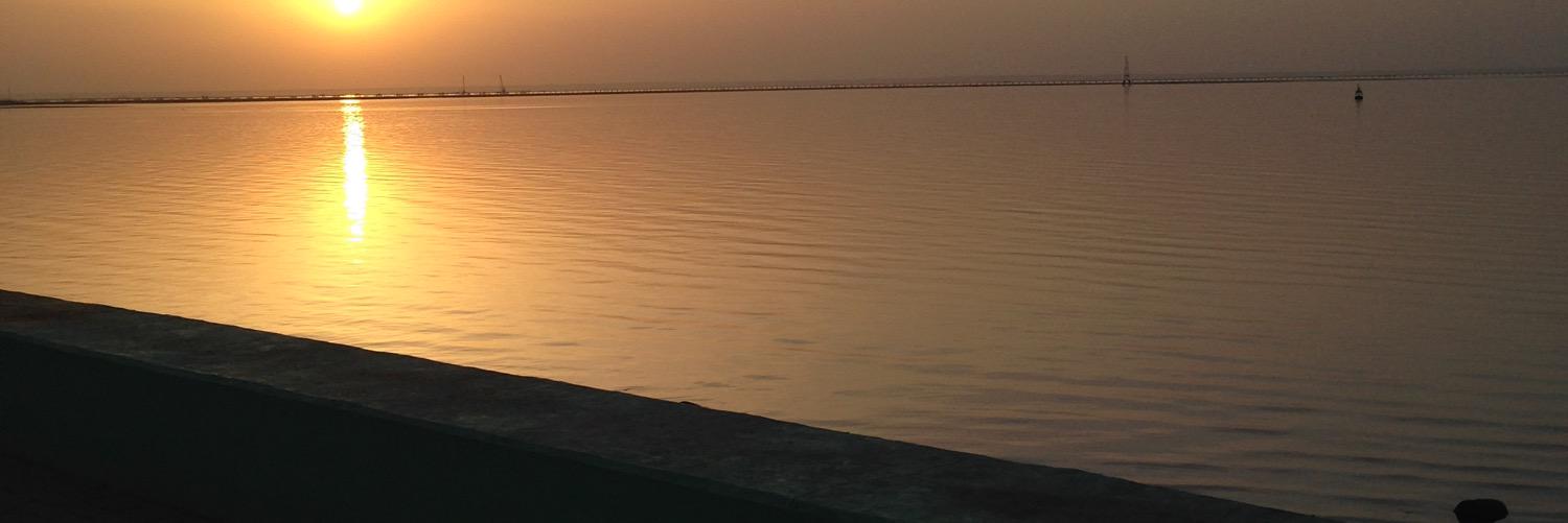 abojaaraa7's profile banner image