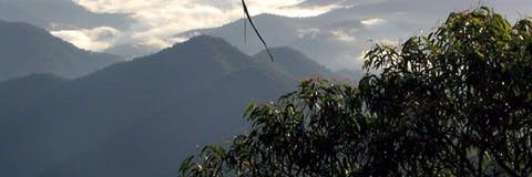 v_lever's profile banner image