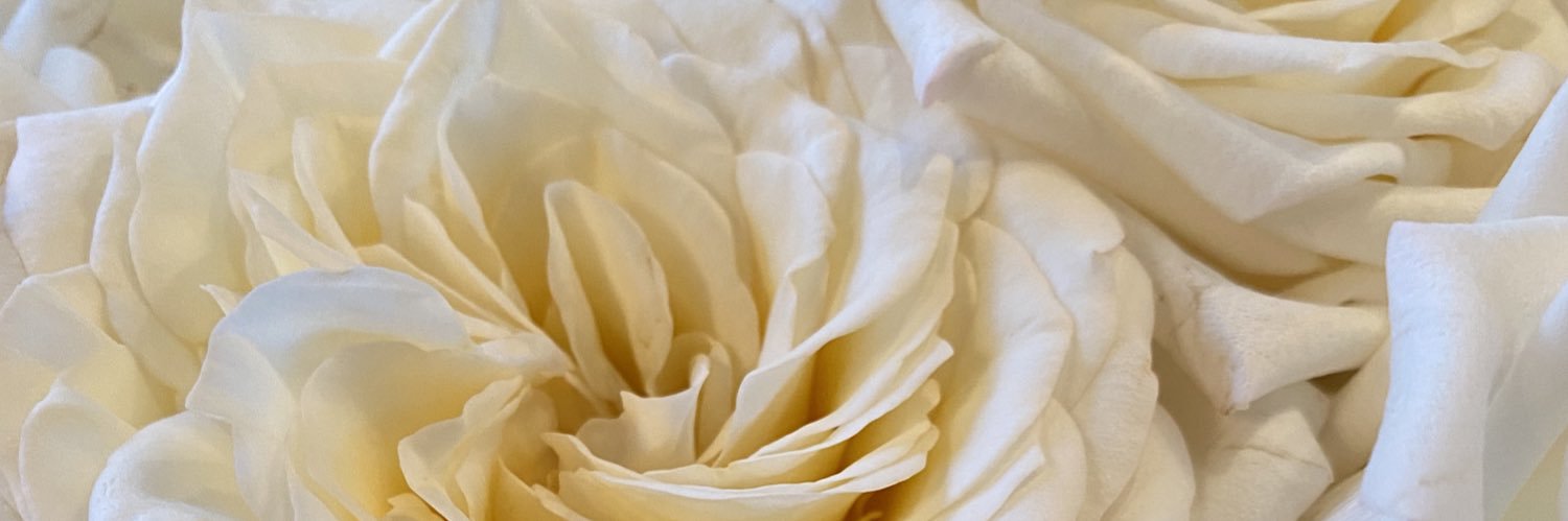 mocomama's profile banner image