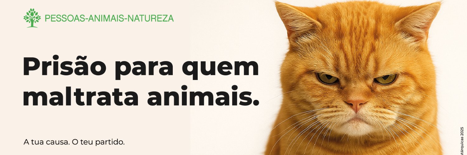 Inês Sousa Real banner