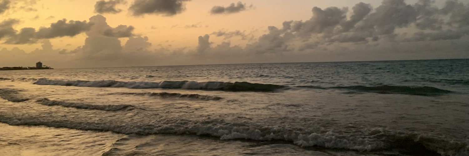 michelleyrshell's profile banner image