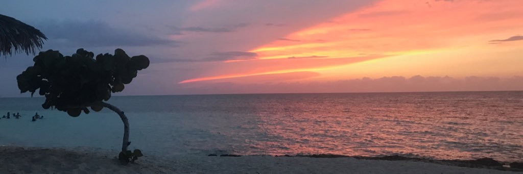 Rosie_Ahern's profile banner image