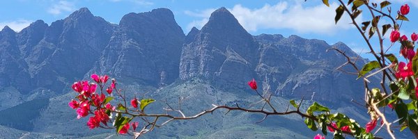 SPullvi Profile Banner