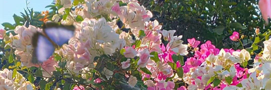 ady982's profile banner image