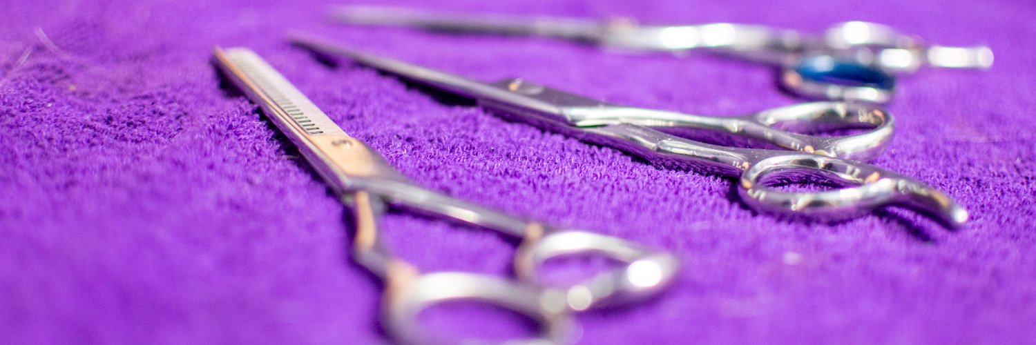 SalonPurple's profile banner image