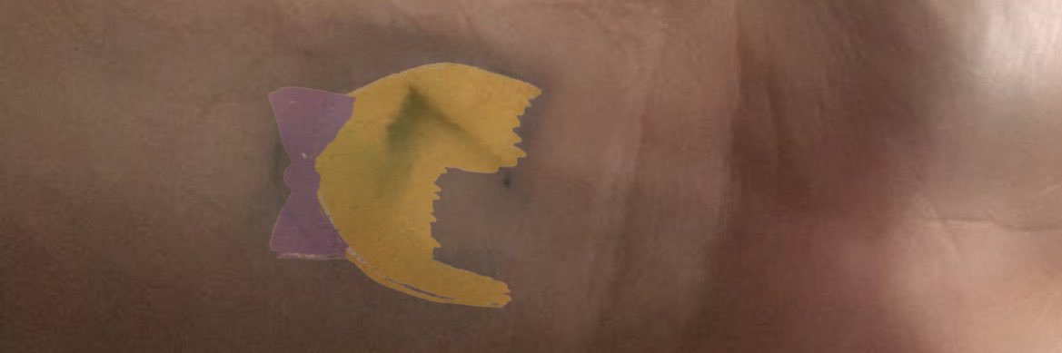 I miss Sia so much, Sia, the part time popstar banner