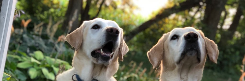 MThom333's profile banner image