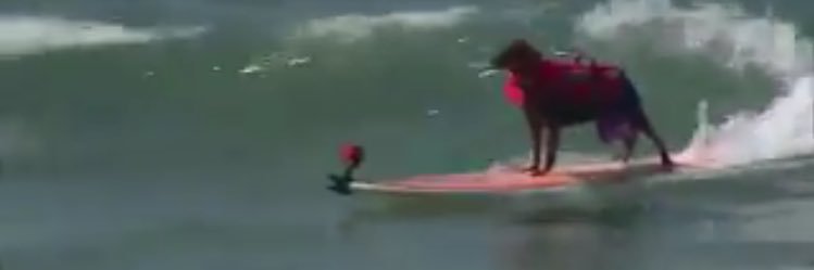 T banner