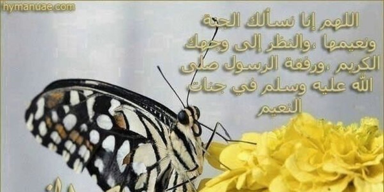 عبدالكريم .م.بن عبري banner