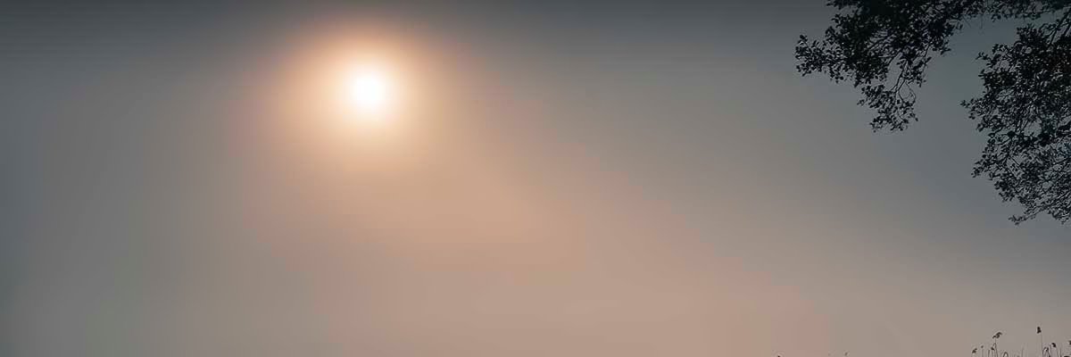 mutemutelaew's profile banner image
