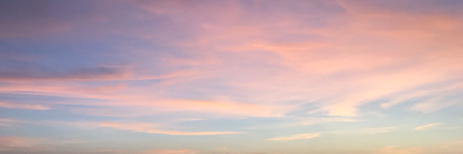Budderbear2's profile banner image