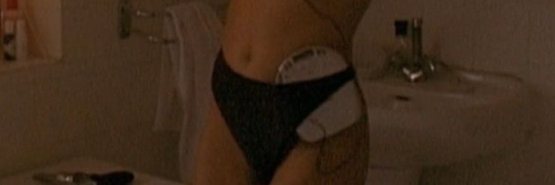 tyrannus melancholicus banner