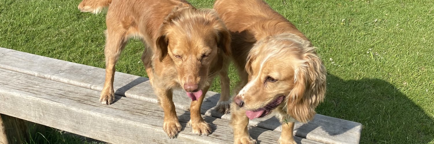 Victoria Bowers banner