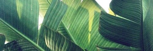 ReisingerAb's profile banner image