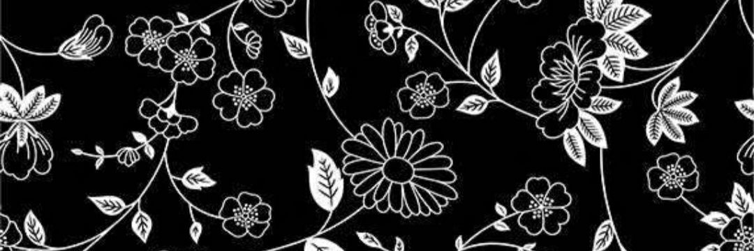 aanaeliisa's profile banner image