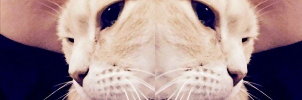 MariaL_Official Profile Banner