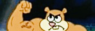 sandy_cks's profile banner image