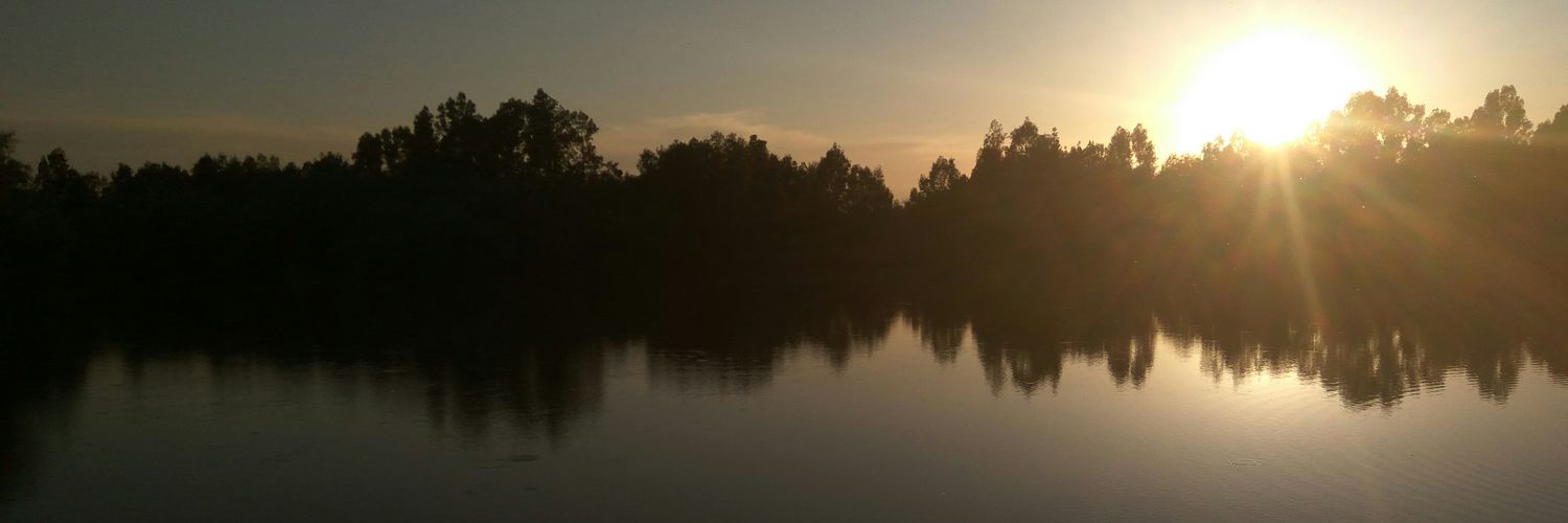 robert_rnk's profile banner image
