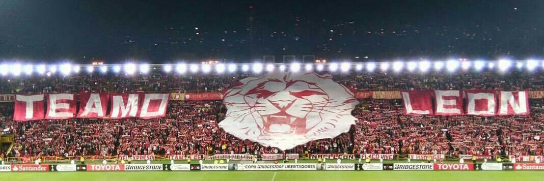 María Fernanda. banner