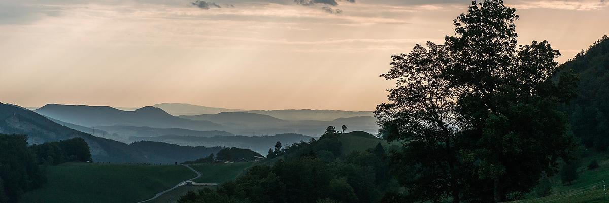 MacLugano's profile banner image