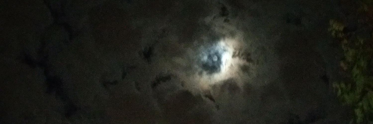nolasteve's profile banner image