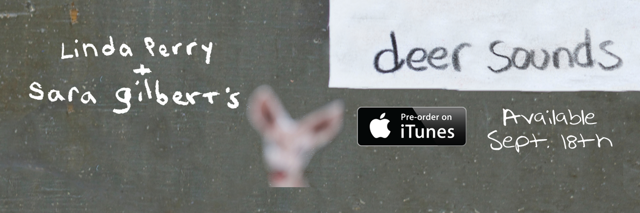 custardrecords's profile banner image