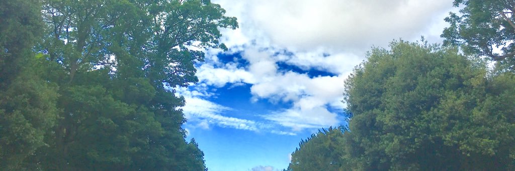 rileyortiz1's profile banner image