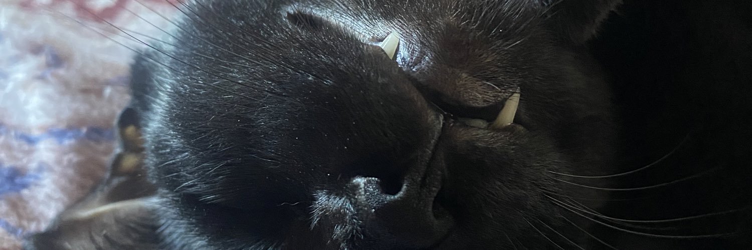 Micola_'s profile banner image