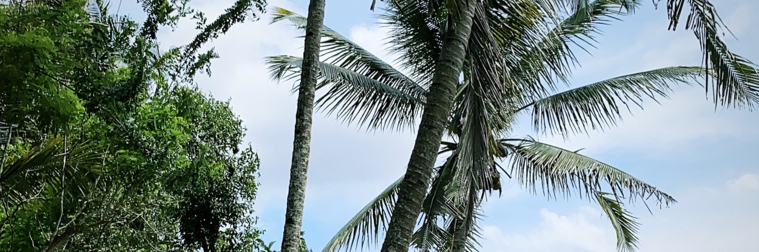 iBerryKi's profile banner image