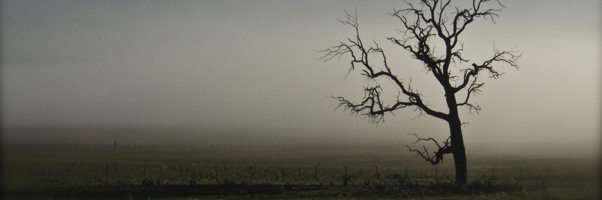feltonmountain's profile banner image