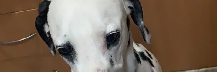 daniel_medina96's profile banner image