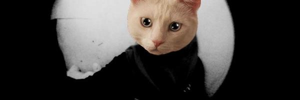 lovitaSN Profile Banner