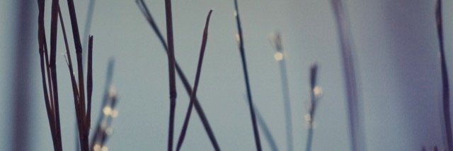 نوره الموسى banner