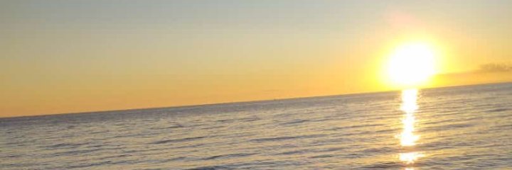 _floorAlvarez's profile banner image