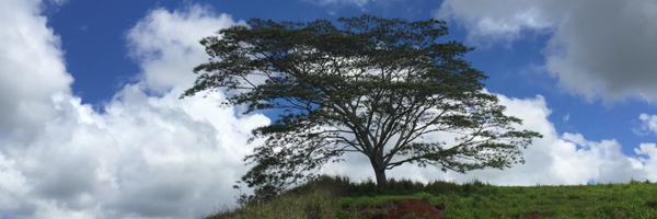 jamielewsadder Profile Banner